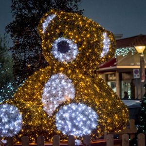 Home 91 2natale