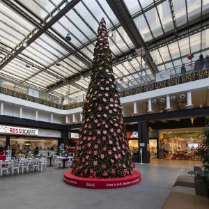 Home 36 2 DSC4443 RenataVesely Lingotto