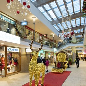 1Brenner DSC8304 RenataVesely 13751897