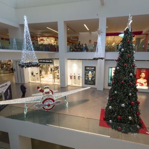 0 DSC7220 RenataVesely 36894ebb