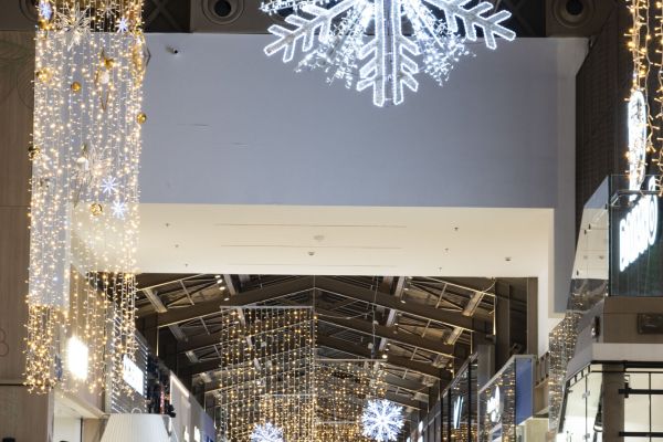 2 DSC6597 RenataVesely 444656e4