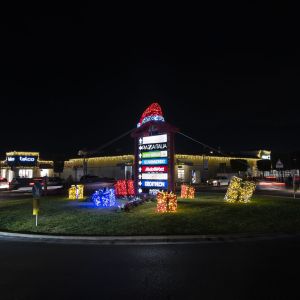 2DaVinci DSC9019 RenataVesely 56f04d33