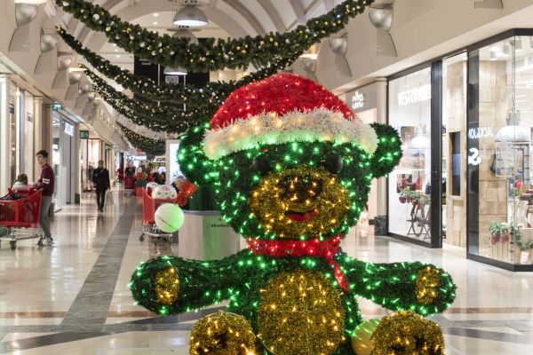 1 DSC6701 RenataVesely 573ca444