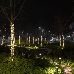 2Rogoredo DSC7395 RenataVesely 6dc056fd