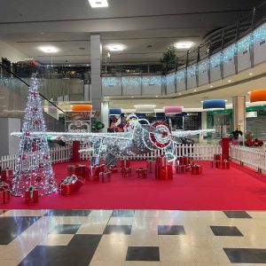 03Cremona Po%20 6eabf311