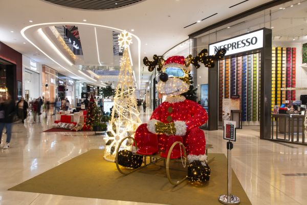 1 DSC6611 RenataVesely 749abee2