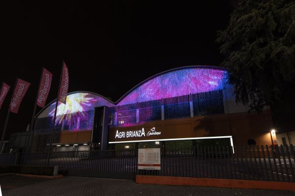 DSC7654 RenataVesely 751cf8da