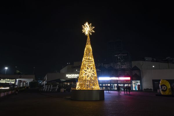 1 DSC6995 RenataVesely 7cc2b3a6