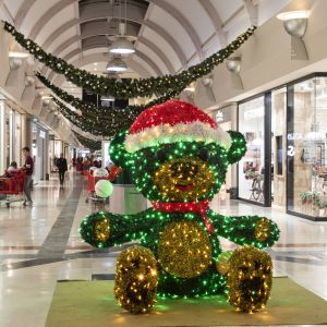 1 DSC6701 RenataVesely 814f8c2e