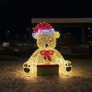 3DaVinci DSC8961 RenataVesely 8368399f