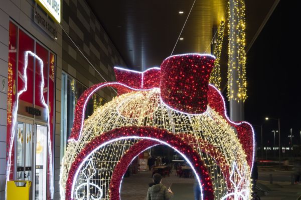 1DaVinci DSC8981 RenataVesely 979099b5