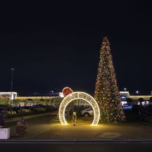 0Da%20vinci%20 b39705dc