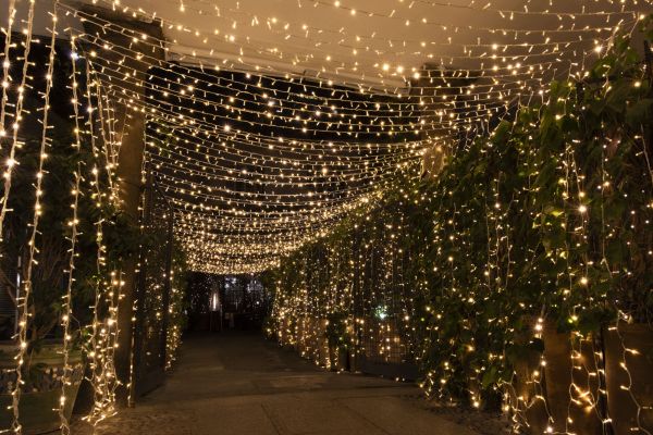 DSC1494 RenataVesely 1 b3c26948