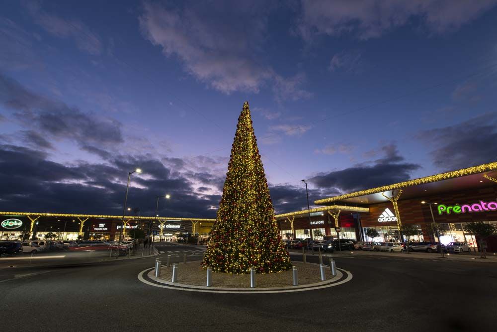 DaVinci DSC8938 RenataVesely bfd181f9