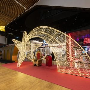 2 DSC4818 RenataVesely Milano CityLife c5766299