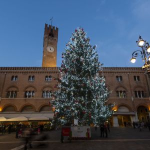 1 DSC7263 RenataVesely cebb759f