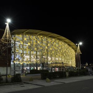 1 DSC7551 RenataVesely dfeef6b7