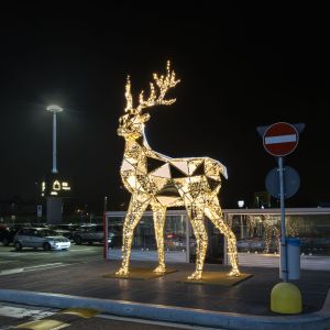 1 DSC7062 RenataVesely f464a3fe