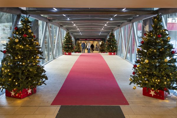 3Brenner DSC8386 RenataVesely ffe12d8b