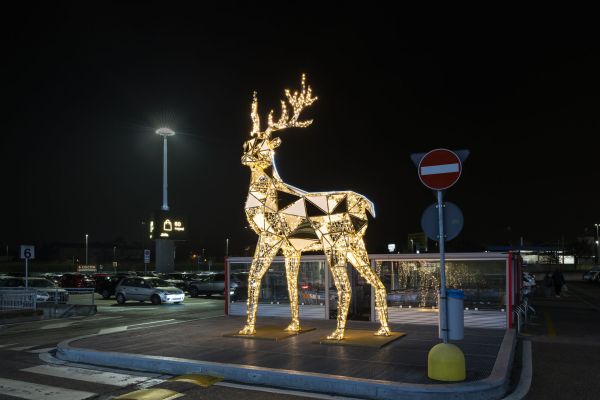 1 DSC7062 RenataVesely 9bfa898f